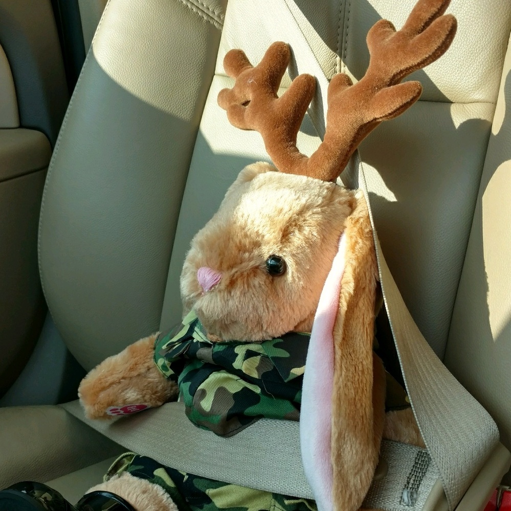 Meet your Posher, Jacqueline